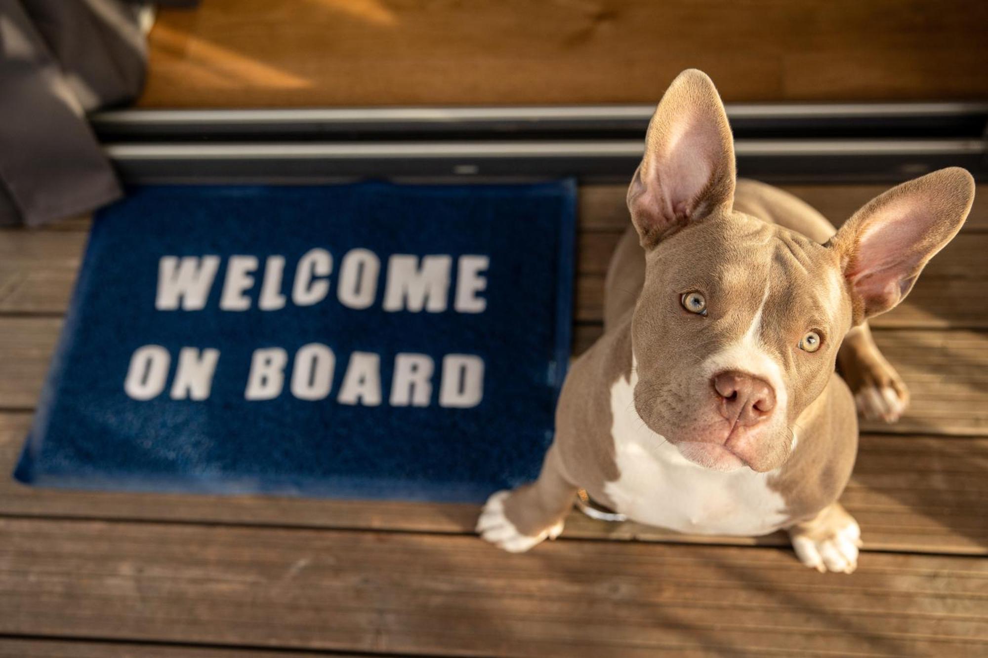 The Homeboat Company Sant'Elmo-カリアリ エクステリア 写真